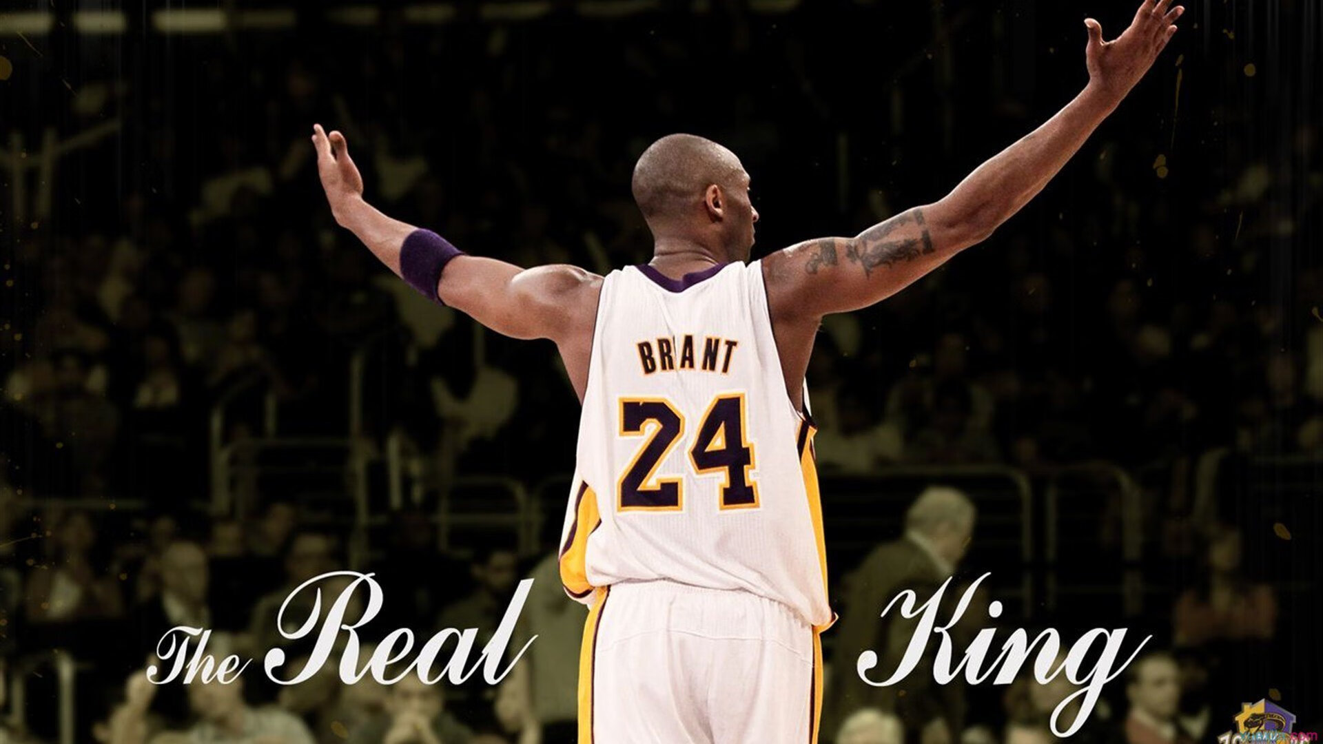 体育赛事数字平台